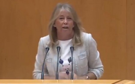 El PP pide en el Senado que el superávit de los ayuntamientos se pueda gastar