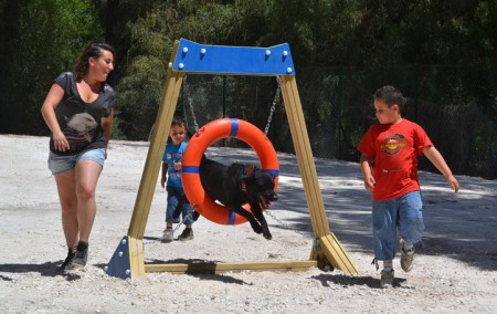 Exhibiciones caninas y juegos populares en el evento "Marbella Dogshows"