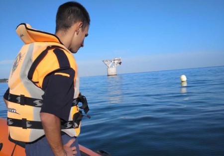 Vuelven a detectarse carabelas portuguesas en las playas de Marbella
