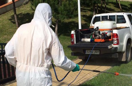 El PSOE reclama un plan de fumigación contra la proliferiación de insectos
