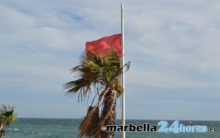 La presencia de medusas obliga a cerrar al baño siete playas de Marbella