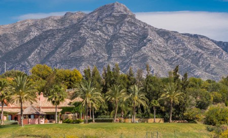 La alegación de Vega del Colorado que a la concejala de Urbanismo no le suena