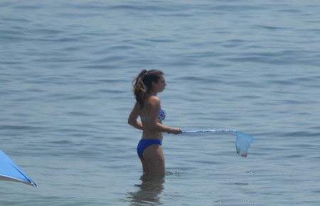 El PSOE pide medidas "urgentes" contra la medusas en las playas de Marbella