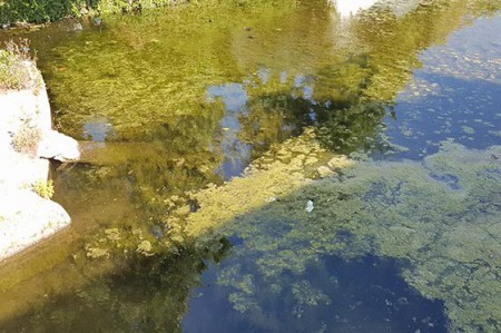 El PSOE reclama más atención para la barriada de El Salto del Agua