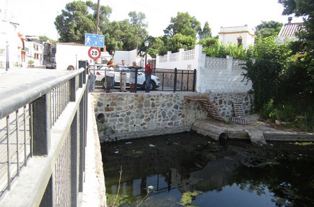 El PSOE alerta de que siguen muriendo patos en El Salto del Agua