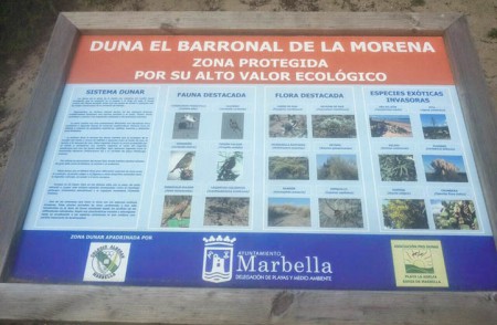 Marbella celebrará en las dunas el Día Mundial de la Limpieza en la Naturaleza