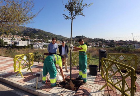 El Ayuntamiento de Marbella dice que va a plantar 266 nuevos árboles y palmeras