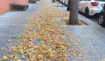 El viento deja rachas de más de 90 kilómetros por hora en Marbella