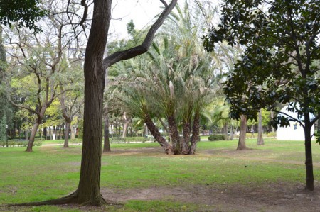El PSOE pide al equipo de gobierno que limpie y acondicione los parques