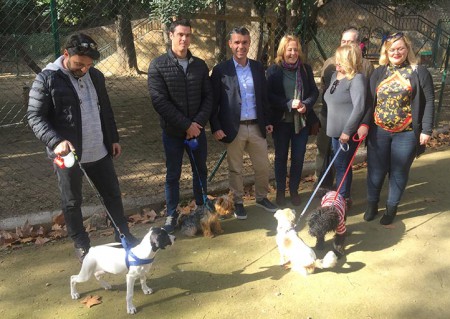 El PSOE reclama medidas para facilitar la adopción de perros abandonados