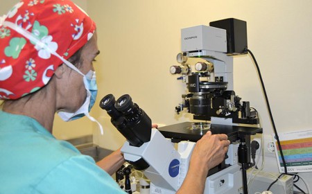 La vitrificación de óvulos, alternativa para no depender del reloj biológico