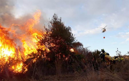Libertad bajo fianza para la mujer detenida por los incendios en Marbella
