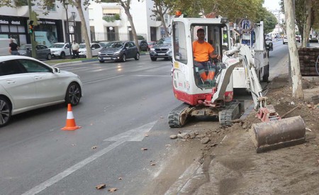El Ayuntamiento plantará 1.500 flores en la avenida Severo Ochoa de Marbella