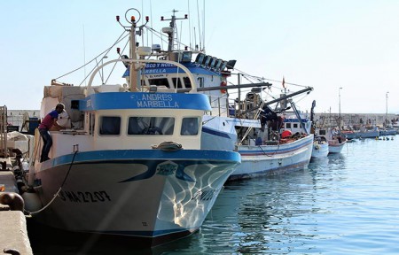 La Cofradía de Pescadores de Marbella apuesta por las prácticas sostenibles