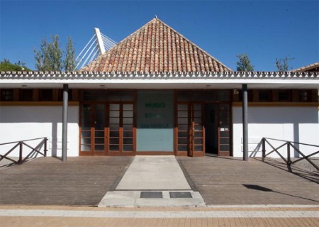 Arrancan las obras de la bibilioteca que Muñoz anunció hace año y medio