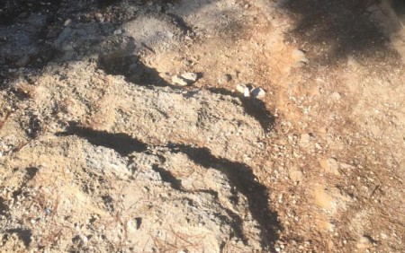 El PSOE denuncia el mal estado del paseo del Pecho de las Cuevas