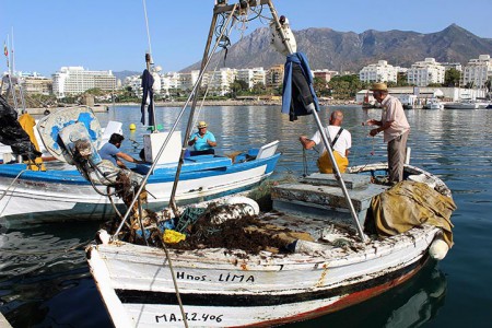 La Cofradía de Pescadores de Marbella pide rapidez contra el alga asiática
