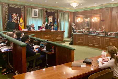 El PP rechaza en el pleno dos propuestas a favor del empleo en Marbella