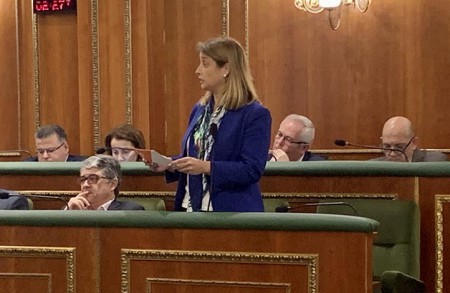 Cs Marbella pide la puesta en marcha de la comisión sobre la COVID-19 