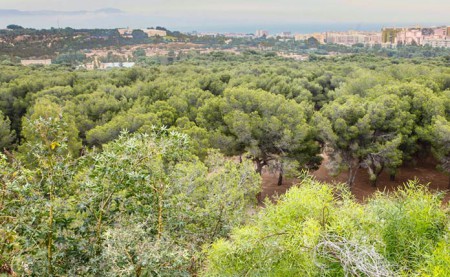 Hidralia defiende una reconstrucción económica basada en planes ecológicos