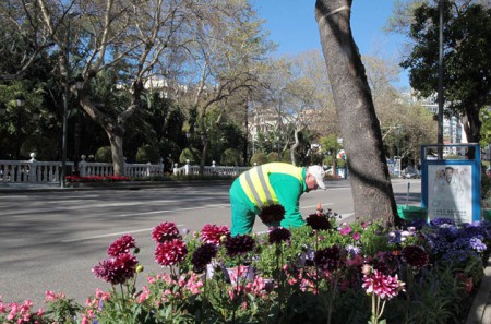 Marbella se autoabastecerá de flores para los jardines con un vivero propio