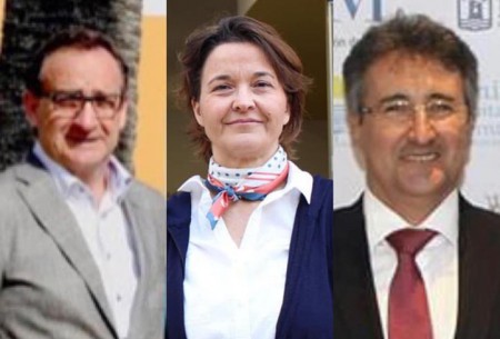 El PSOE nombra a sus tres miembros en el Consejo Social de Marbella