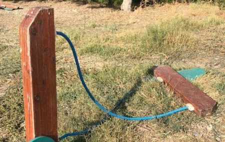 El PSOE denuncia dejadez en el parque canino de Los Tres Jardines