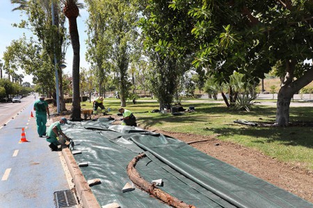 Comienzan los trabajos de renovación de la avda del Mediterráneo de San Pedro