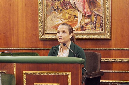 El Pleno de Marbella aprueba un plan de ayudas para familias monoparentales