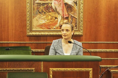 El Pleno de Marbella aprueba la doble licencia para el sector del ocio nocturno