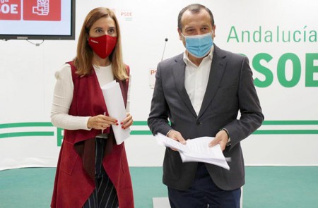 El PSOE enmienda los presupuestos de la Junta con partidas para Marbella