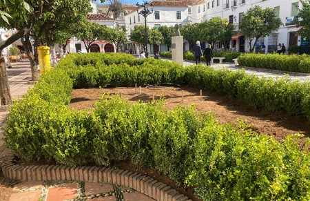 El PSOE pide recuperar en la plaza de Los Naranjos el jardín mediterráneo
