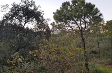 IU denuncia que Muñoz obstruye una investigación sobre medio ambiente