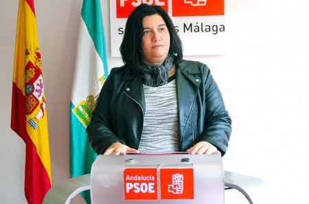 El PSOE pide un plan de actuación para la barriada de Plaza de Toros