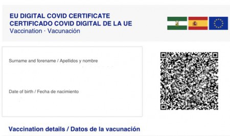 El TSJA rechaza el intento de la Junta de imponer el pasaporte covid
