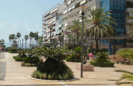 Marbella monta una fiesta de la cerveza para dinamizar el comercio