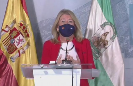 Marbella prorroga por segunda vez los presupuestos con Muñoz de alcaldesa