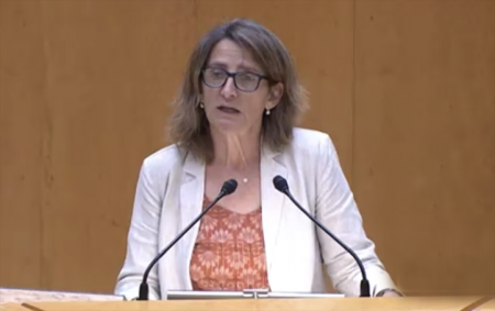 La ministra espera licitar "en breve" los espigones para San Pedro Alcántara