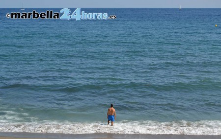 Empiezan a aparecer medusas en las playas de Marbella