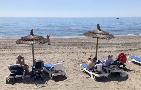 Numerosa presencia de medusas en casi todas las playas de Marbella