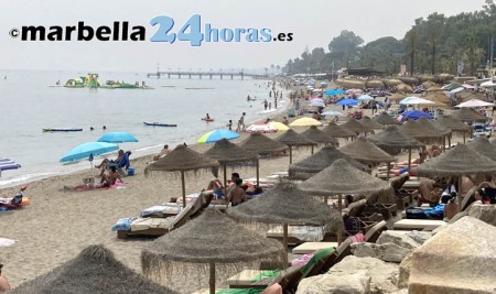 Las medusas abandonan las playas de Marbella en el final de julio
