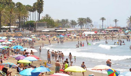 Las medusas vuelven a gran parte de las playas de Marbella 