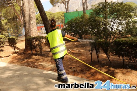 Este jueves se abre el plazo para once cursos de formación en Marbella