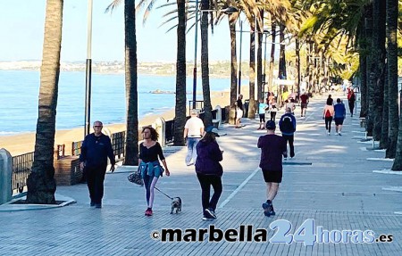 La Junta se une a las mentiras de Muñoz sobre el paseo marítimo de Marbella