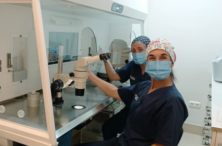 FIV Ochoa ofrece preservación gratuita de la fertilidad a pacientes oncológicos