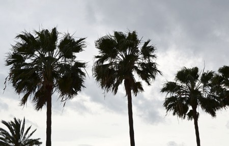 Las rachas de viento superan los 70 kilómetros por hora en Marbella
