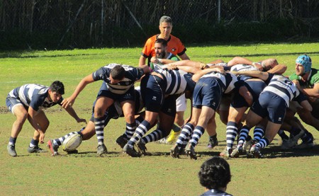 El Marbella Rugby Club arrasa (7-66) al San Roque para recuperar el liderato