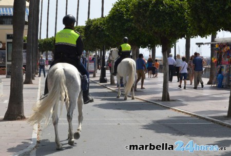 Salen a subasta seis caballos jubilados de la Policía Local de Marbella