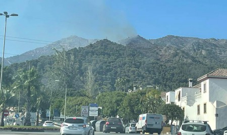 Declarado un incendio forestal en el paraje de Puerto Rico en Marbella 