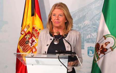 Entran en vigor los presupuestos de Marbella para 2024 que suben el IBI
